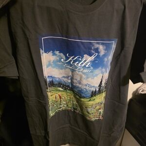 Kith Scenic Graphic T-Shirt in Blue